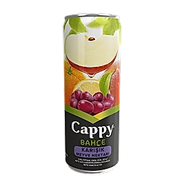 Cappy (25 cl.)